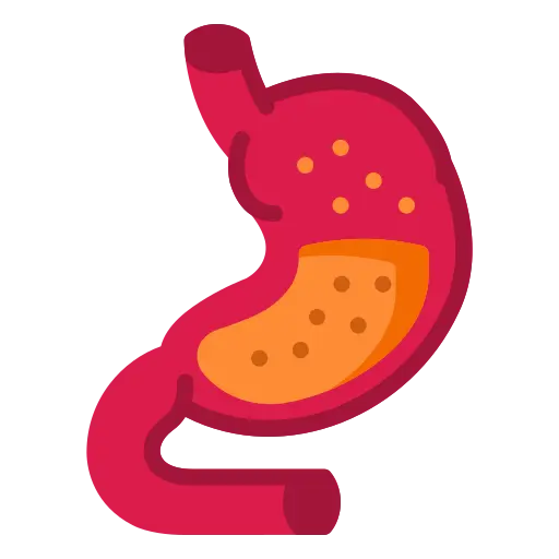 digestive-system